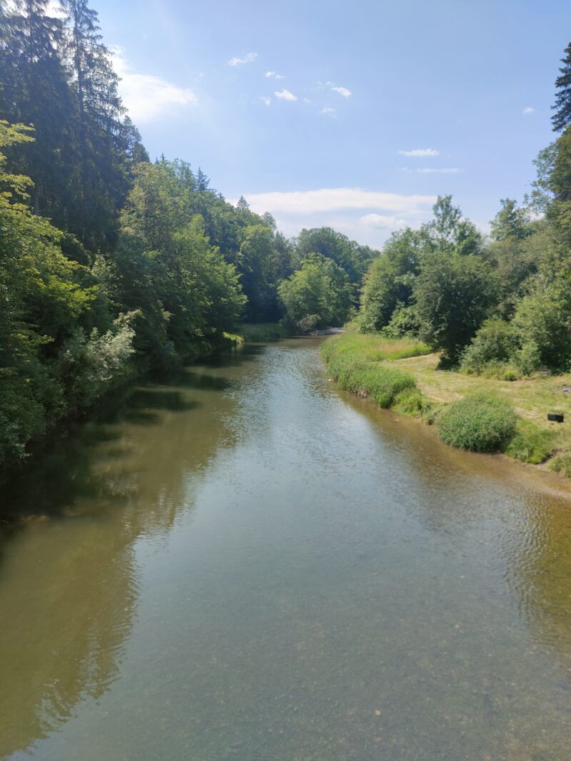 Flusspatenschaft mit Aqua Viva für die Töss