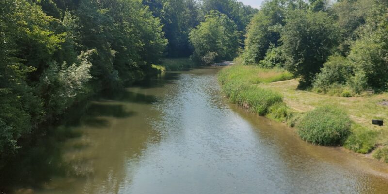 Flusspatenschaft mit Aqua Viva für die Töss