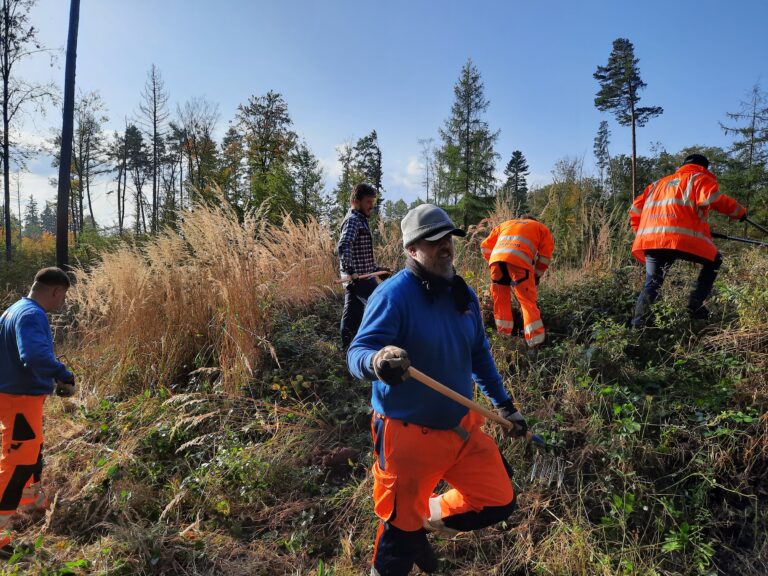 Contreag Mitarbeiter beim Arbeitseinsatz im Naturpark Schaffhausen