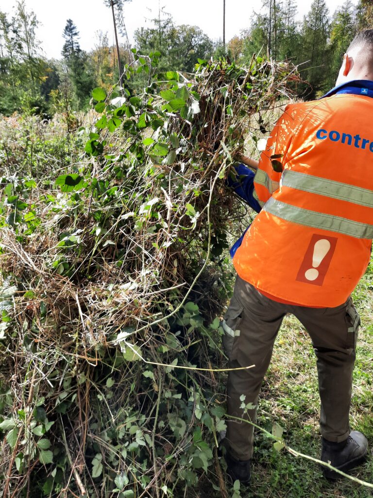 Contreag Mitarbeiter beim Arbeitseinsatz im Naturpark Schaffhausen