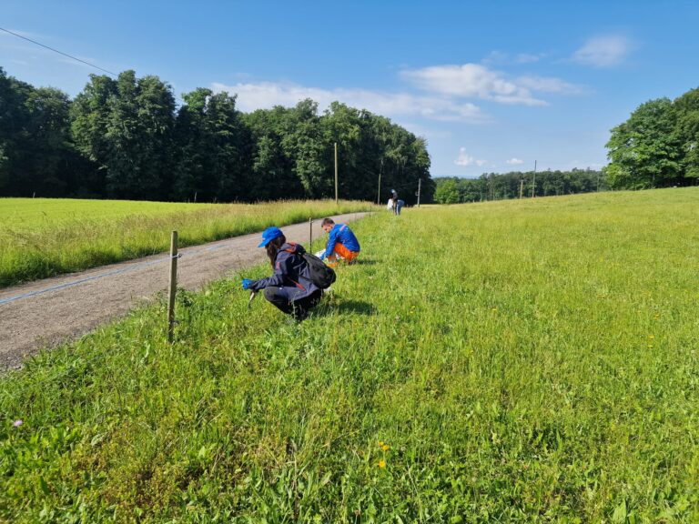 Contreag Mitarbeiter beim Arbeitseinsatz auf dem Grüthof