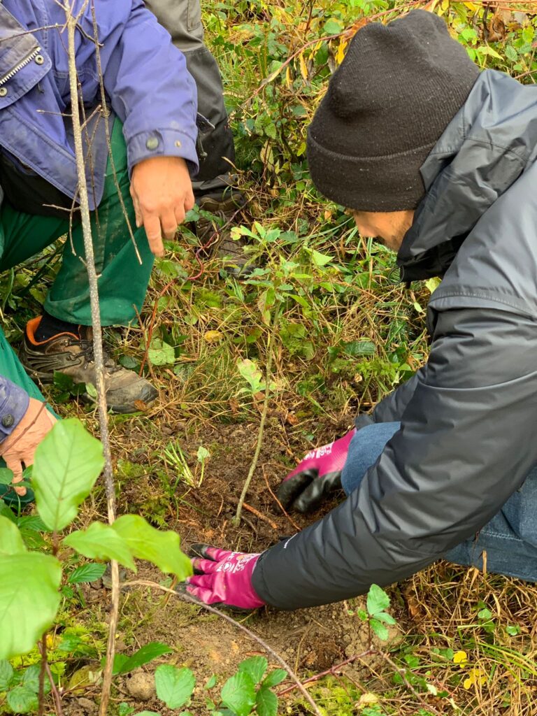 Contreag Mitarbeiter beim Bäume pflanzen 2021