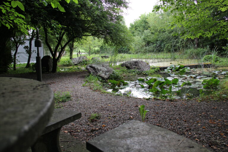 Das Biotop in Werrikon