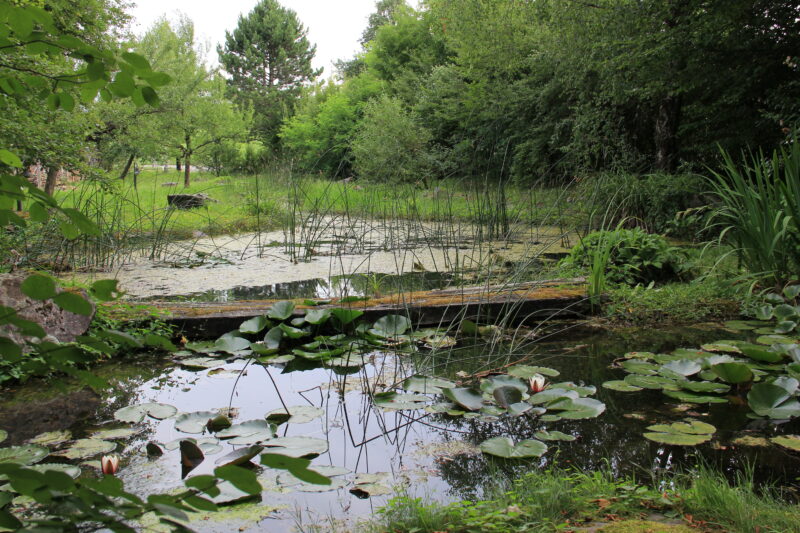 Das Biotop in Werrikon