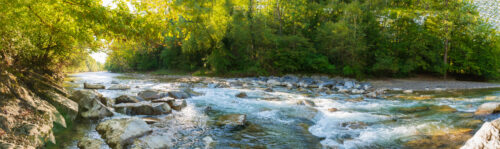 Ein Fluss im grünen Wald