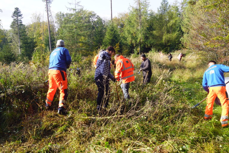 Contreag Mitarbeiter beim Umwelteinsatz im Naturpark Schaffhausen 2022