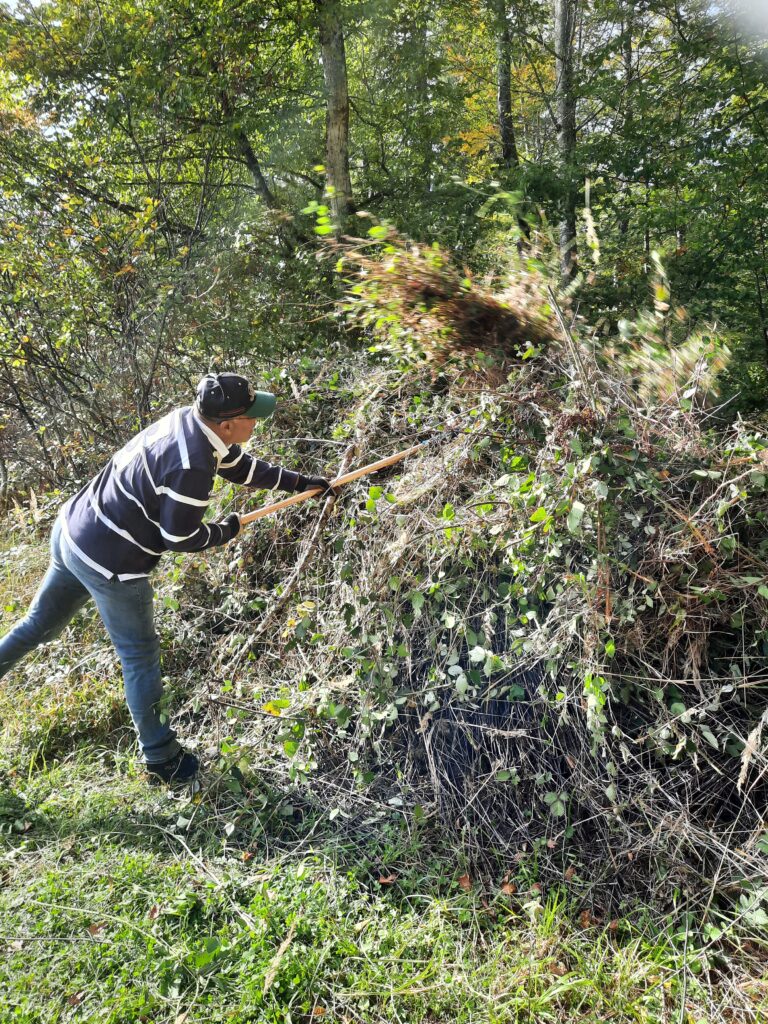 Contreag Mitarbeiter beim Umwelteinsatz im Naturpark Schaffhausen 2022